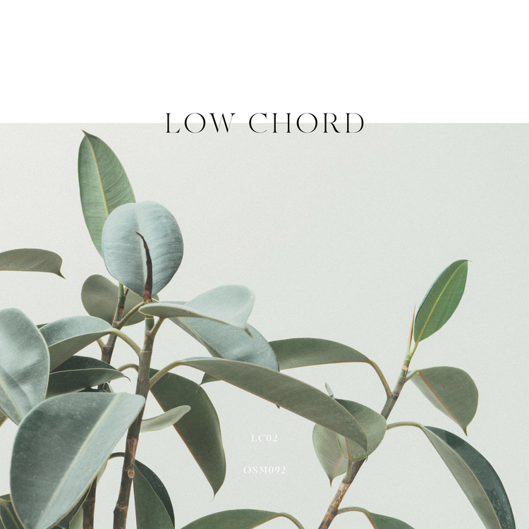 Low Chord's avatar image