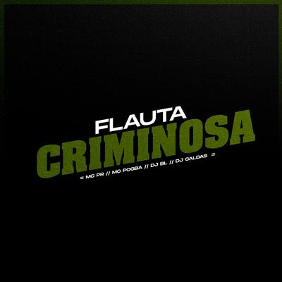 Flauta Criminosa By MC PR, Mc Pogba, DJ Caldas, DJ BL's cover