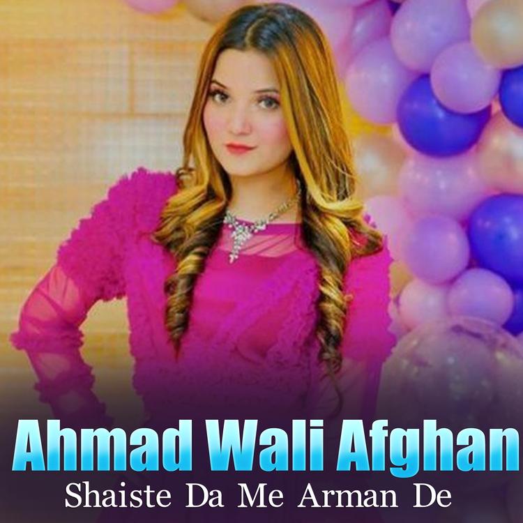 Ahmad Wali Afghan's avatar image