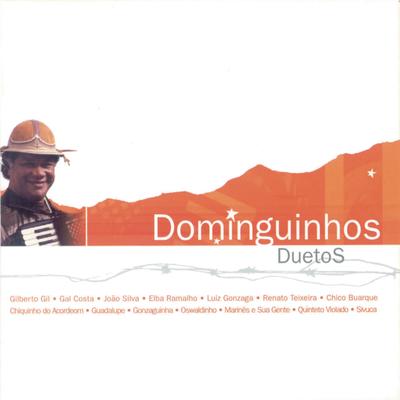 Duetos - Dominguinhos's cover