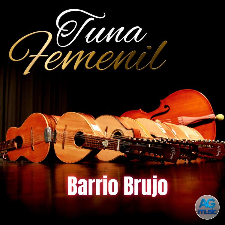 Tuna Femenil's avatar image