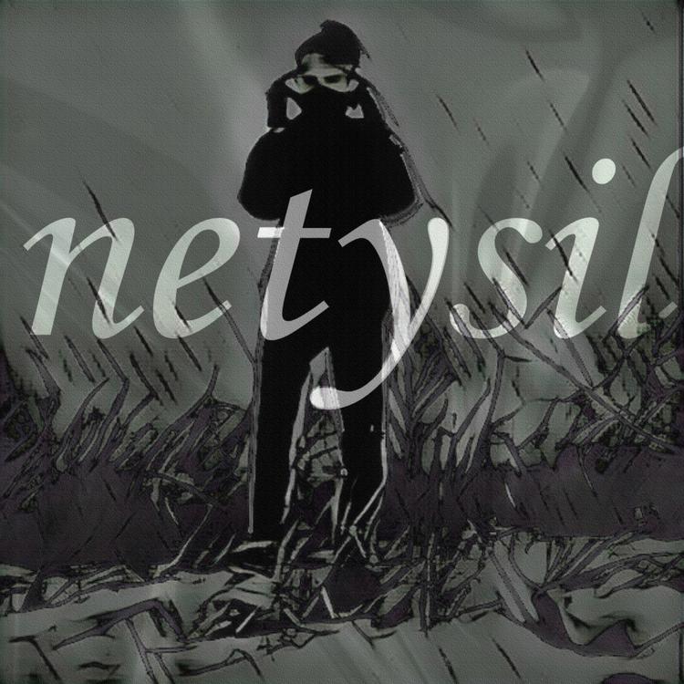 netysil's avatar image