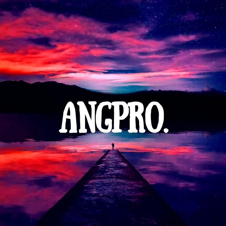 ANGPRO's avatar image