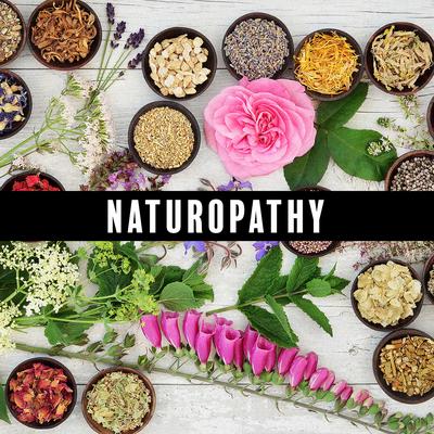 Naturopathy: Beautiful Piano Music with the Sound of Nature for Relaxation and Mindfulness, Sleep, Study's cover