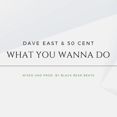 What You Wanna Do By Black Bear Beats's cover