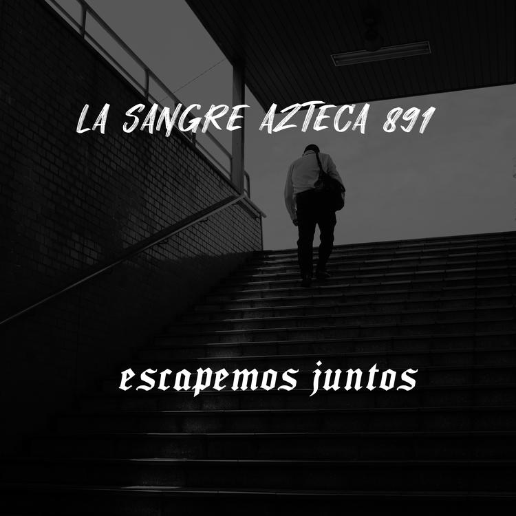 LA SANGRE AZTECA 891's avatar image