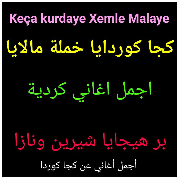 أجمل اغاني كردية's avatar image