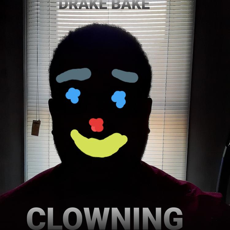 Drake Bake's avatar image