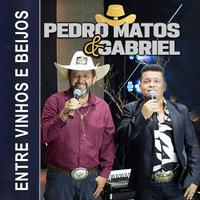 Pedro Matos e Gabriel's avatar cover