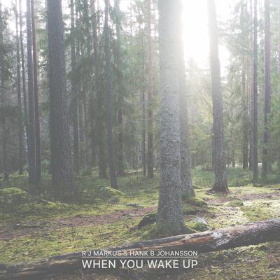 When You Wake Up By R J Markus, Hank B Johansson's cover