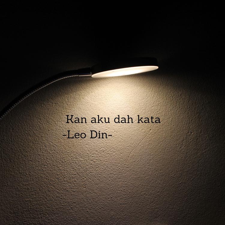 Leo Din's avatar image