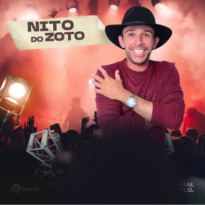 Fui Pra Uma Festa No Sertão By NITO DO ZOTO's cover
