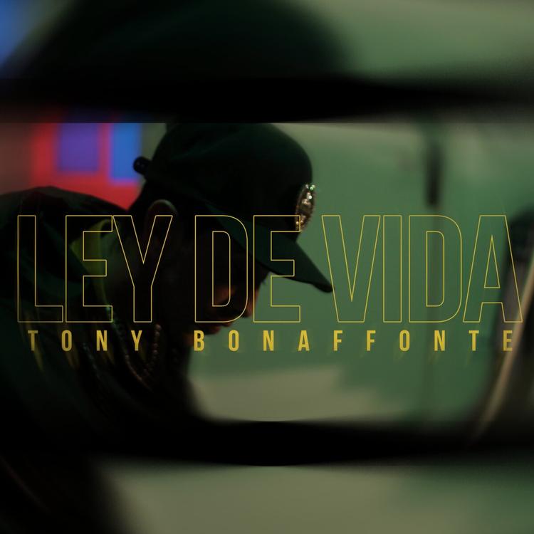 Tony Bonaffonte's avatar image