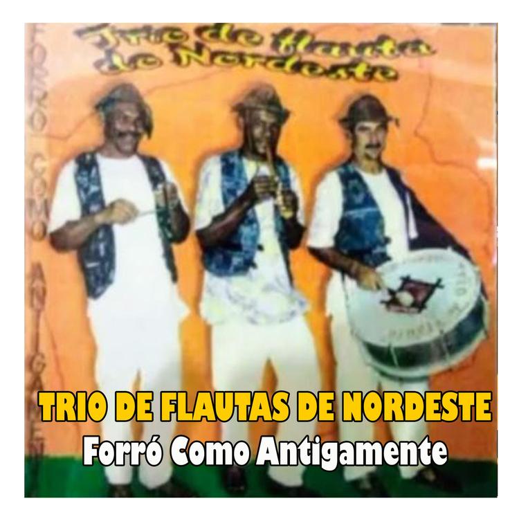 TRIO DE FLAUTAS DO NRDESTE's avatar image