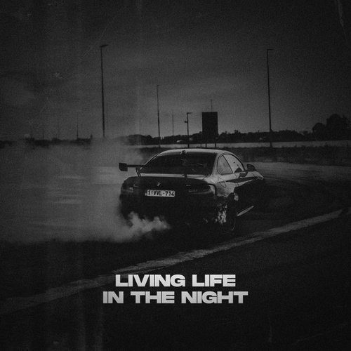 Living Life, In The Night's cover