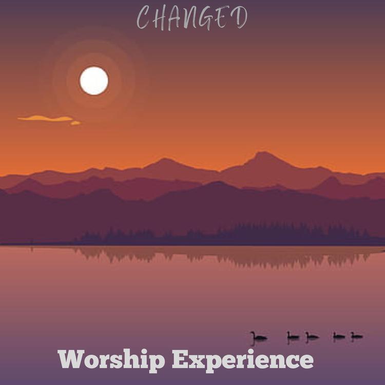 Worship Experience's avatar image