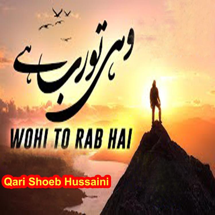 Qari Shoeb Hussaini's avatar image