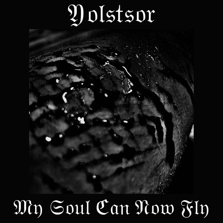 Yolstsor's avatar image