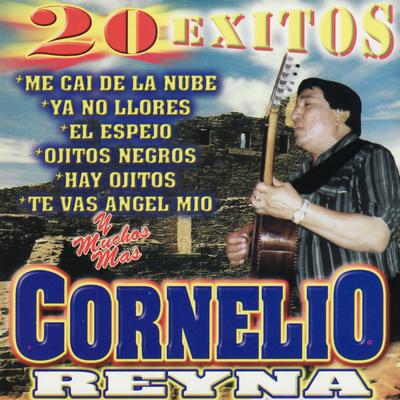 20 Exitos's cover