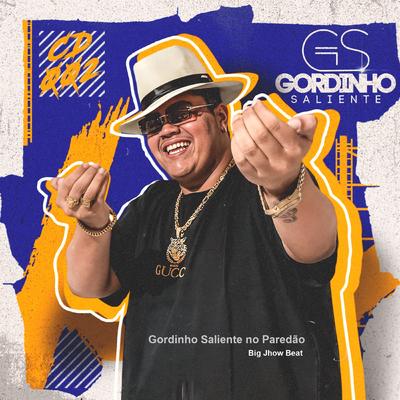 Hoje Eu Vou pro Desmantelo By Gordinho Saliente, Big Jhow Beat's cover