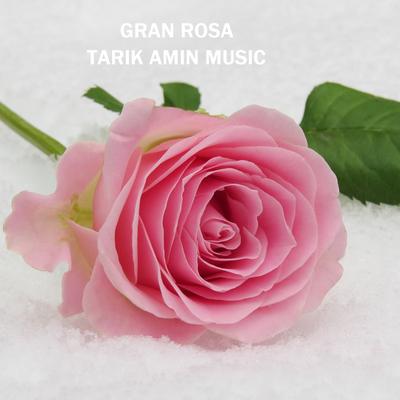 GRAN ROSA's cover