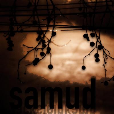 samud's cover