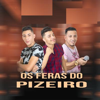 Na Pegada do Vaqueiro (Ao Vivo) By Os Feras do Pizeiro's cover