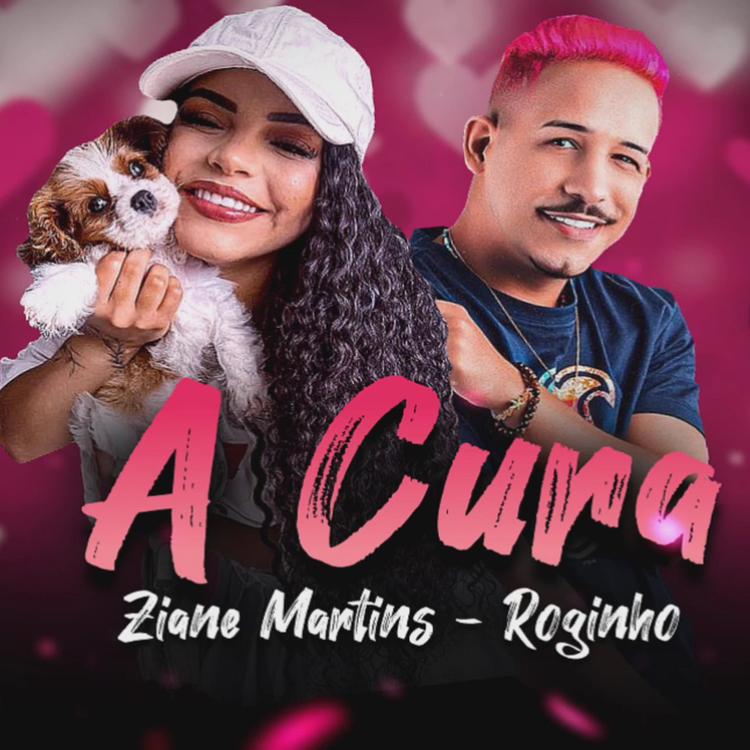 Roginho e Banda Sentimentos's avatar image