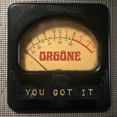 You Got It By Orgone, Jamie Allensworth's cover