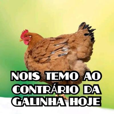 NOIS TEMO AO CONTRÁRIO DA GALINHA HOJE By Memes Áudio's cover