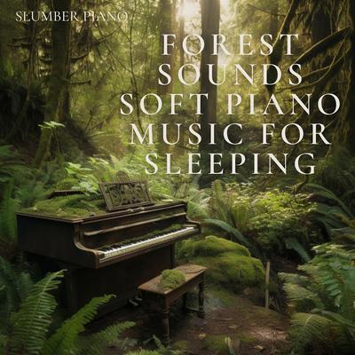 Forest Sounds: Soft Piano Music for Sleeping's cover