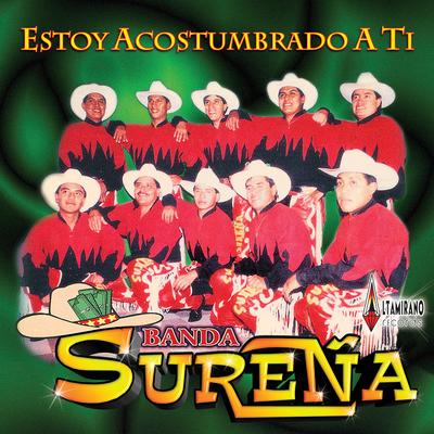 Banda Surena's cover