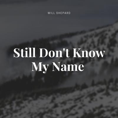 Still Don't Know My Name's cover