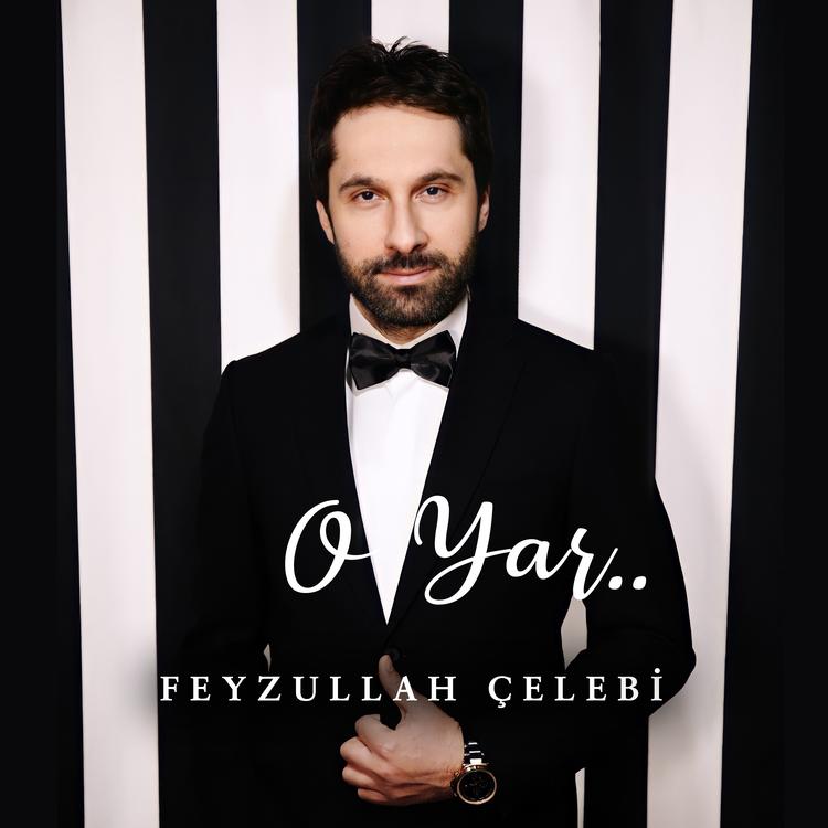 Feyzullah Çelebi's avatar image