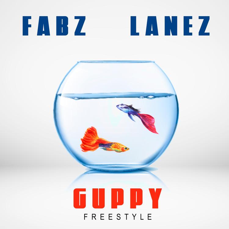 Fabz Lanez's avatar image