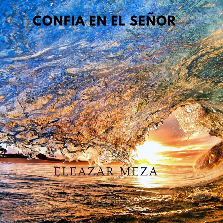 ELEAZAR MEZA's avatar image