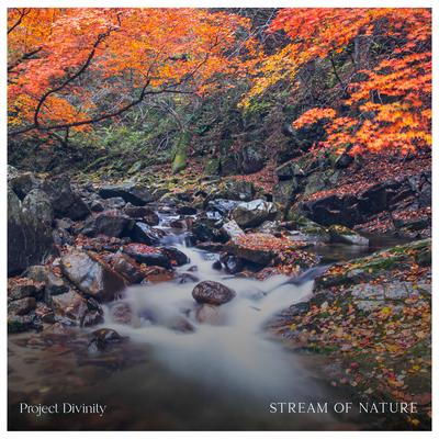 Stream of Nature By Project Divinity's cover