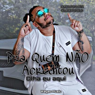 Pra Quem Não Acreditou Olha Eu Aqui By Wagão's cover