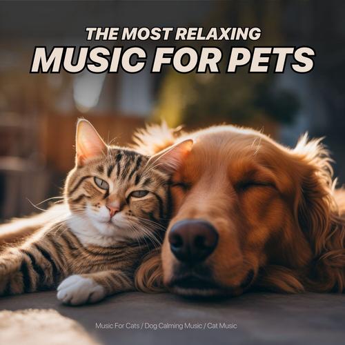 Calming music cheap for cats