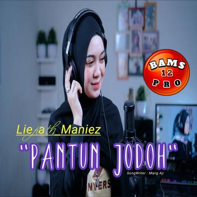 Pantun Jodoh (Hijau Hijau Daun Rambutan)'s cover