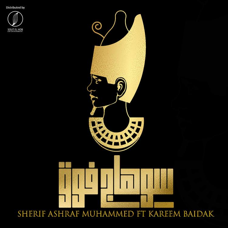 Sherif Ashraf Muhammed's avatar image