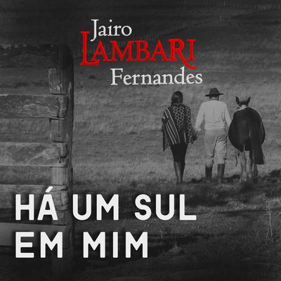 Há um Sul em Mim By Jairo Lambari Fernandes's cover