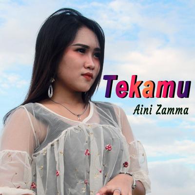 Tekamu's cover