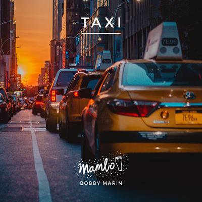 Taxi (feat. Louie Ramirez)'s cover