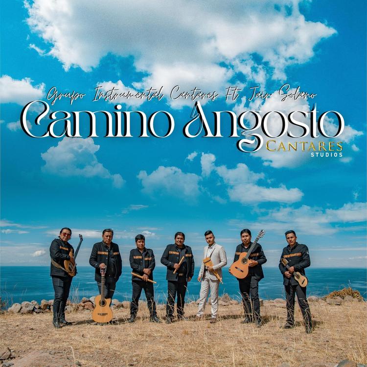 Grupo Instrumental Cantares's avatar image