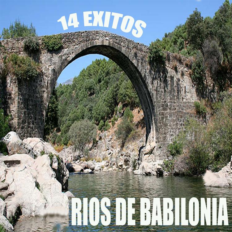 Rios De Babilonia's avatar image