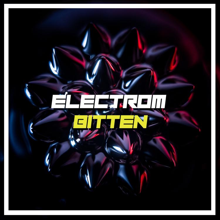 Electrom's avatar image