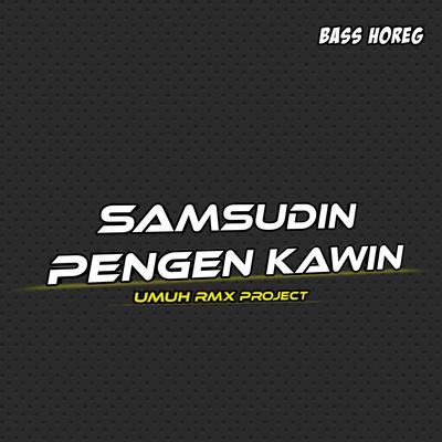 Samsudin Pengen Kawin's cover