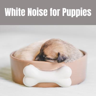 White Noise For Puppies, Dogs, and Cats for Relaxation's cover