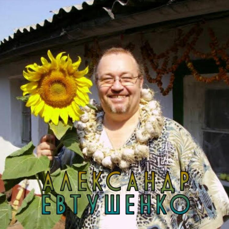 Александр Евтушенко's avatar image